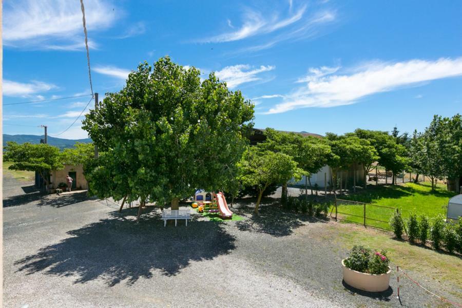 Agriturismo Case Nuove 卡斯泰里那马里提玛 外观 照片